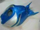 Honda CBR 1000 RR 06-07 - Azul Plata Honda CBR 1000 RR 06-07 - Azul Plata