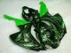 Honda CBR 1000 RR 06-07 - Verde Llama Negro Honda CBR 1000 RR 06-07 - Verde Llama Negro