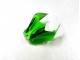 Kawasaki ZX14R ZZR 1400 12-21 - Verde Negro Kawasaki ZX14R ZZR 1400 12-21 - Verde Negro
