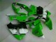 Kawasaki ZX6R 00-02 - Verde Negro Kawasaki ZX6R 00-02 - Verde Negro