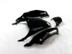 Kawasaki ZX14R ZZR 1400 12-21 - Negro Verde Kawasaki ZX14R ZZR 1400 12-21 - Negro Verde